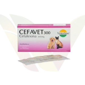 Cefavet 300mg